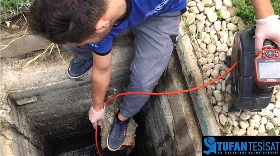 Pimaş Görüntüleme